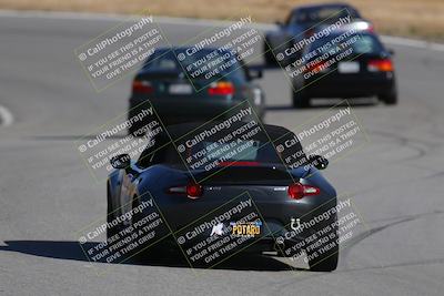 media/Nov-19-2023-Extreme Speed (Sun) [[bd0eec5490]]/Purple/Back Shots/